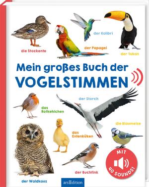 ISBN 9783845855325: Mein großes Buch der Vogelstimmen – Mit 40 Sounds