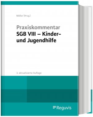 ISBN 9783846210680: Praxiskommentar SGB VIII - Kinder- und Jugendhilfe