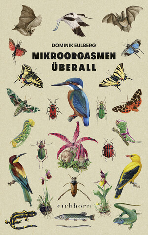 ISBN 9783847900658: Mikroorgasmen überall - Von der Raffinesse und Mannigfaltigkeit der Natur vor unserer Haustür