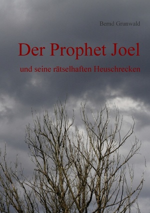 ISBN 9783848207442: Der Prophet Joel | und seine rätselhaften Heuschrecken | Bernd Grunwald | Taschenbuch | Paperback | 128 S. | Deutsch | 2012 | BoD - Books on Demand | EAN 9783848207442