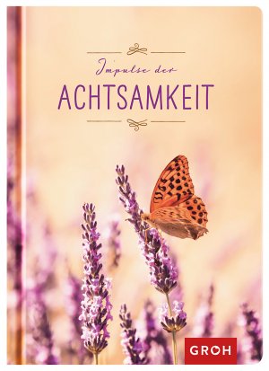 gebrauchtes Buch – Joachim Groh – Impulse der Achtsamkeit