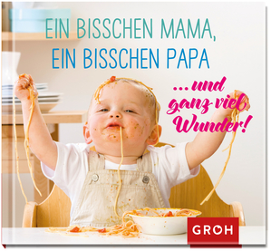 gebrauchtes Buch – Joachim Groh – Ein bisschen Mama, ein bisschen Papa ... und ganz viel Wunder!