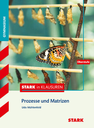 ISBN 9783849021177: STARK Stark in Mathematik - Prozesse und Matrizen Oberstufe