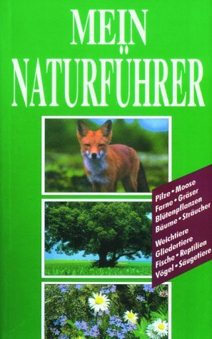 ISBN 9783850017145: Mein Naturführer - Pilze - Moose - Farne - Gräser - Blütenpflanzen - Sträucher Weichtiere - Gliedertiere - Fische - Reptilien - Vögel - Säugetiere