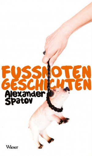 ISBN 9783851298758: Fussnotengeschichten