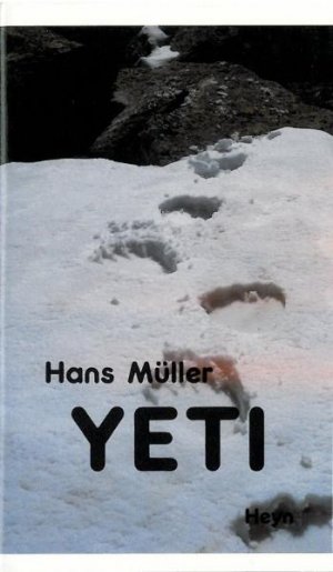 ISBN 9783853665435: Yeti: Jugendbuch