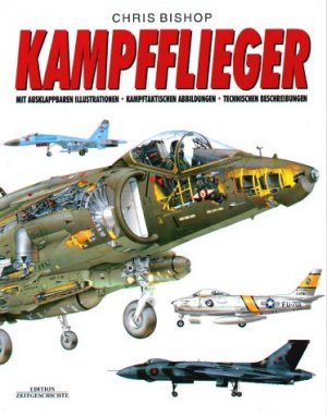 ISBN 9783854924326: Kampfflieger – Feuerkraft, Taktiken, Technische Details