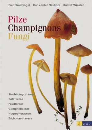 ISBN 9783855027040: Pilze Champignons Fungi