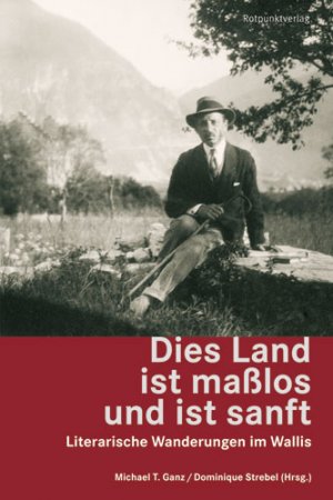 ISBN 9783858693167: Dies Land ist masslos und ist sanft - Literarische Wanderungen im Wallis