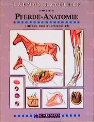 ISBN 9783861272427: Pferdeanatomie