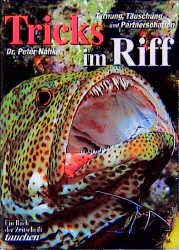 ISBN 9783861322436: Tricks im Riff