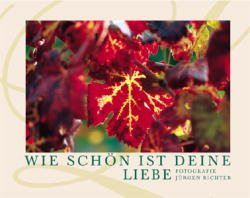 ISBN 9783861740704: Wie schön ist deine Liebe. Fotogr. Jürgen Richter. Hrsg. von Paul Gerlach