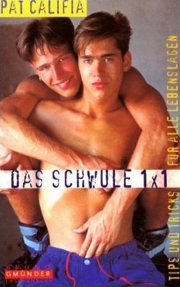 ISBN 9783861873037: Das Schwule 1 x 1 - Tips und Tricks für alle Lebenslagen