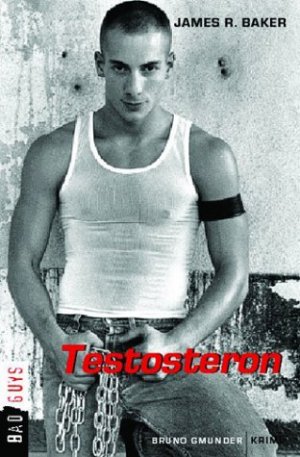 ISBN 9783861874225: Testosteron