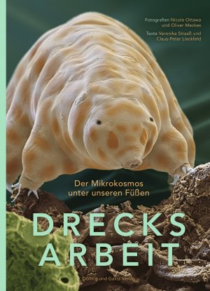 neues Buch – Veronika Straaß – DRECKSARBEIT