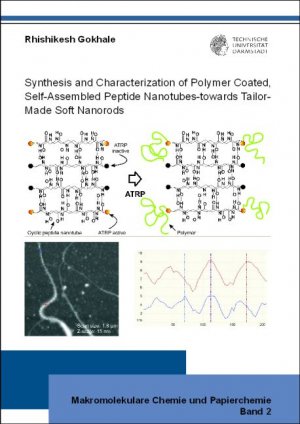 ISBN 9783862472895: Synthesis and Characterization of Polymer Coated, Self-Assembled Peptide Nanotubes-towards Tailor-Made Soft Nanorods