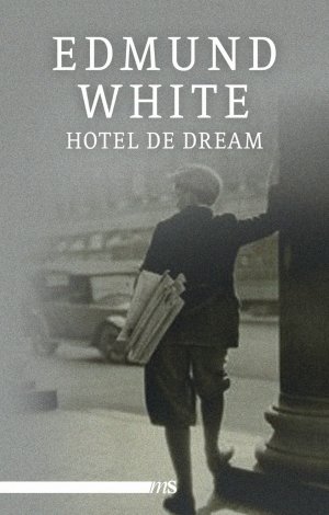 ISBN 9783863001889: Hotel de Dream – Ein New-York-Roman