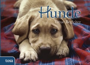 ISBN 9783863132569: Hunde – Treue Begleiter