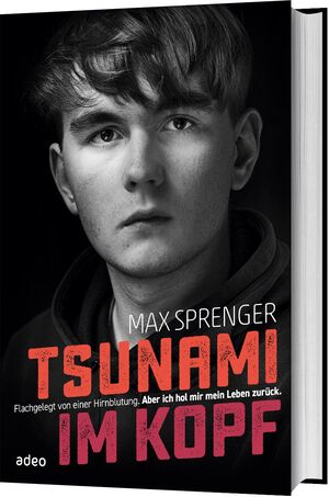 ISBN 9783863342197: Tsunami im Kopf - Flachgelegt von einer Hirnblutung. Aber ich hol mir mein Leben zurück.