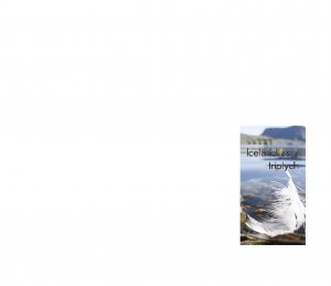 ISBN 9783864211027: Iceland as a triptych