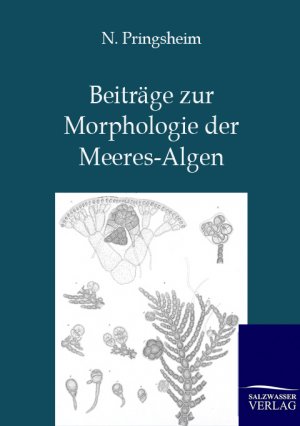 ISBN 9783864445323: Beiträge zur Morphologie der Meeres-Algen