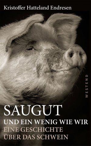 ISBN 9783864893575: Saugut und ein wenig wie wir - Eine Geschichte über das Schwein