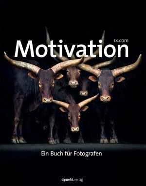 ISBN 9783864900716: Motivation – Ein Buch für Fotografen