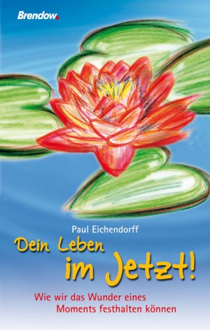 gebrauchtes Buch – Paul Eichendorff – Dein Leben im Jetzt! - Wie wir das Wunder des Moments festhalten können