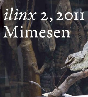 ISBN 9783865725912: ilinx. Berliner Beiträge zur Kulturwissenschaft – Mimesen