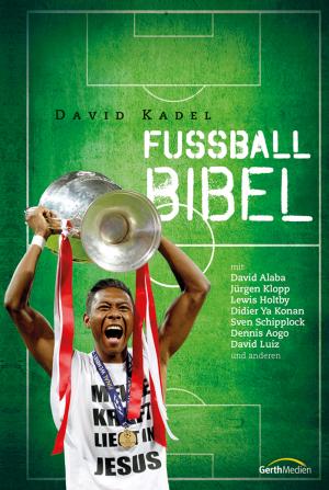 gebrauchtes Buch – David Kadel – Fußball-Bibel