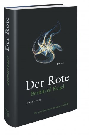 ISBN 9783866480674: Der Rote. Roman - signiert