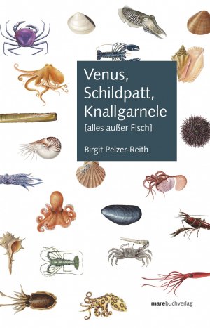 ISBN 9783866480858: Venus, Schildpatt, Knallgarnele. Alles außer Fisch.