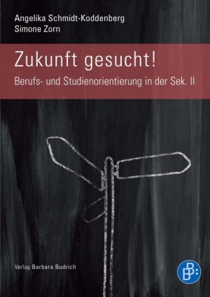 ISBN 9783866493810: Zukunft gesucht! Berufsfindung in der Sek II