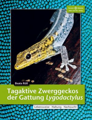 ISBN 9783866592278: Tagaktive Zwerggeckos der Gattung Lygodactylus – Lebensweise, Haltung, Nachzucht