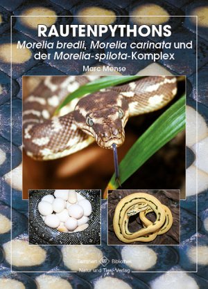 ISBN 9783866592346: Rautenpythons - Morelia bredli, Morelia cardinata und Morelia spilota-Komplex