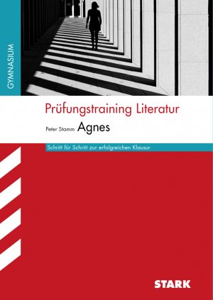 ISBN 9783866685703: Prüfungstraining Literatur - Stamm: Agnes (Baden-Württemberg)