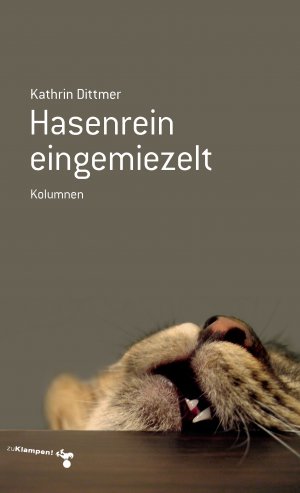 ISBN 9783866745728: Hasenrein eingemiezelt – Kolumnen