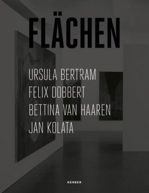 ISBN 9783866786615: Flächen - Künstlerinnen und Künstler am Seminar für Kunst und Kunstwissenschaft der TU Dortmund