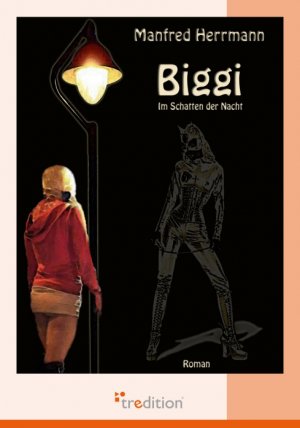 ISBN 9783868508246: BIGGI – Im Schatten der Nacht