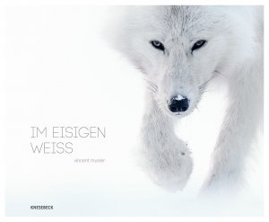 ISBN 9783868739909: Im eisigen Weiß [Pappbilderbuch] Munier, Vincent