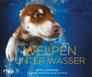 gebrauchtes Buch – Welpen unter Wasser Casteel – Welpen unter Wasser Casteel, Seth