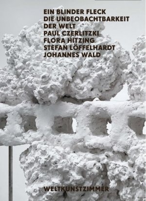 ISBN 9783868952964: Ein blinder Fleck - Die Unbeobachtbarkeit der Welt: Paul Czerlitzki, Flora Hitzing, Stefan Löffelhardt und Johannes Wald befassen sich mit zentralen künstlerischen Problemen der  Wahrnehmung, Darstellung und Beobachtbarkeit.