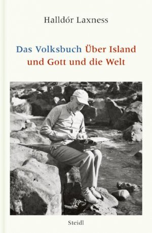 ISBN 9783869302348: Das Volksbuch. Über Island und Gott und die Welt