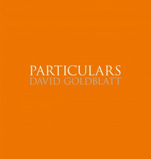 gebrauchtes Buch – David Goldblatt – Particulars