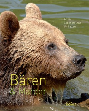 ISBN 9783869411484: Bären & Marder - Arten, Lebensräume, Verhalten