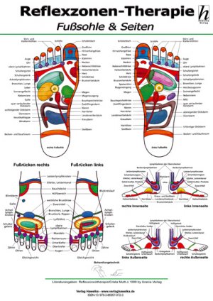 ISBN 9783869570723: Reflexzonen-Therapie - Fusssohle, Poster