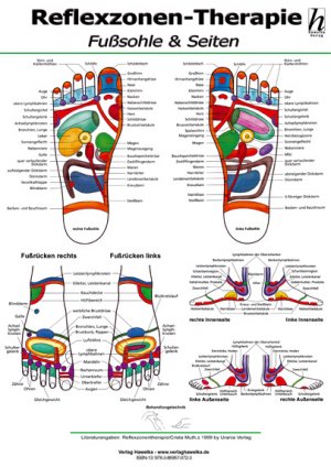 ISBN 9783869570778: Reflexzonen-Therapie Mini-Poster - Fußsohle & Seiten DIN A4