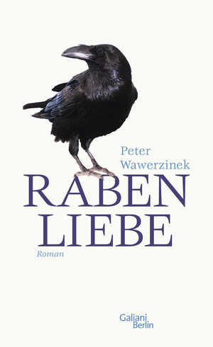 ISBN 9783869710204: Rabenliebe : Roman.