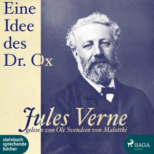 ISBN 9783869743011: Eine Idee des Dr. Ox