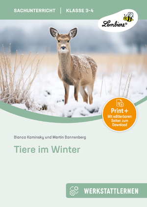 neues Buch – B Kaminsky – Tiere im Winter / (3. und 4. Klasse) / B. Kaminsky (u. a.) / Bundle / Kopiervorlagen in Mappe mit CD / 1 MP3, Download oder Online / Deutsch / 2013 / Lernbiene / EAN 9783869988641